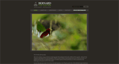Desktop Screenshot of bernardvanelegem.com