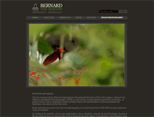 Tablet Screenshot of bernardvanelegem.com
